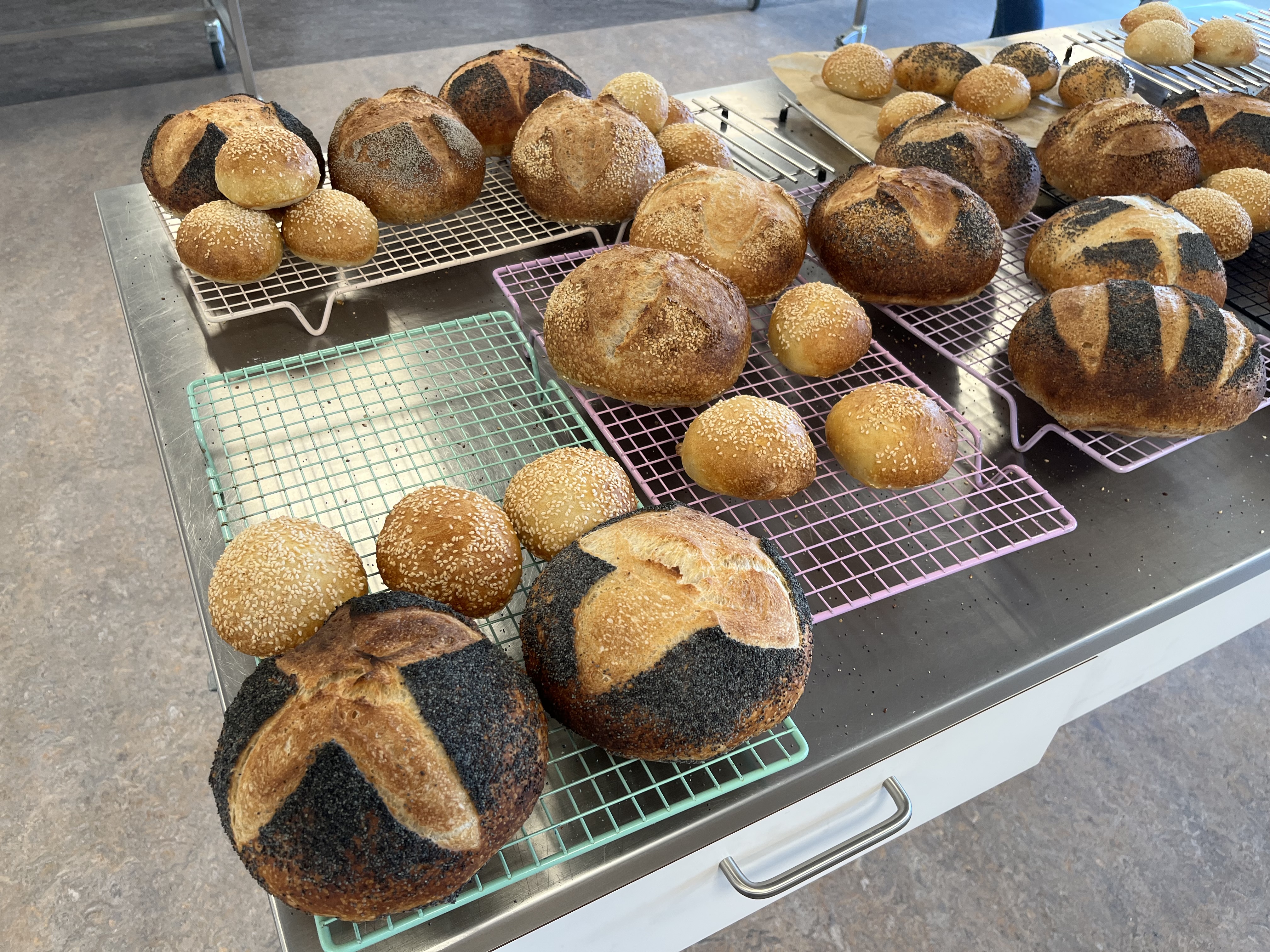 Brød og burgerboller med sesam og birkes på riste efter kurset